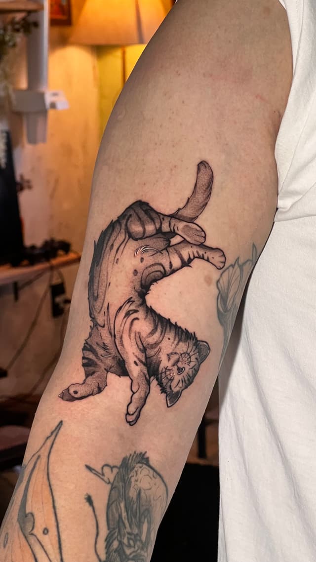 cmgew63b5000fgw04aaqb8vcp