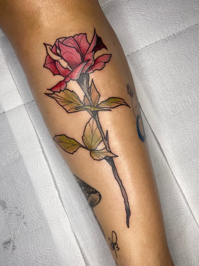 cmgewgm7f000ogw04qdnadp2a