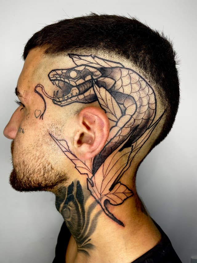 cmgew9vu6000jgw04ntcdgyzf