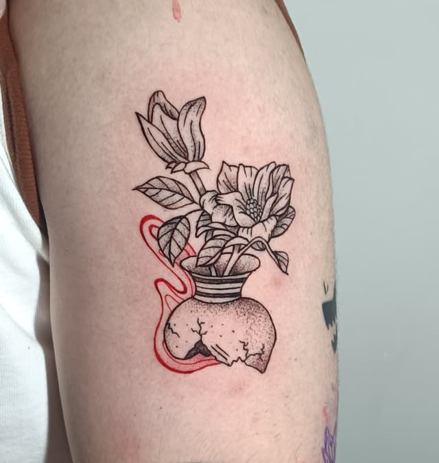 cmhy89eeb0009l504ilrlff6m