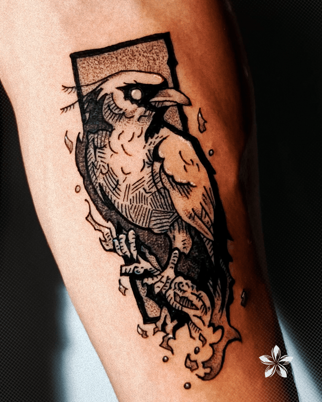 cmhy88ynd0007l504eoddckib